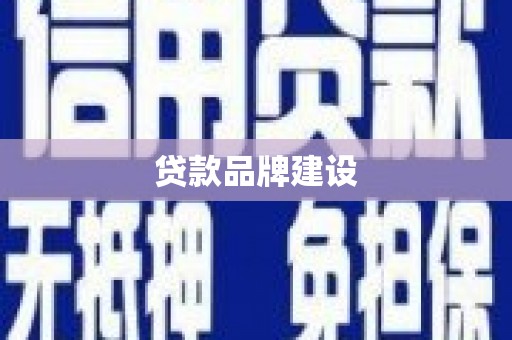 镇康贷款品牌建设