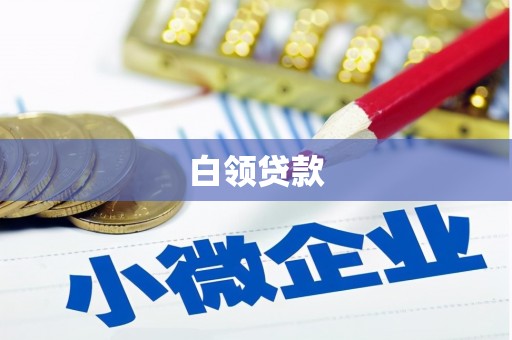 镇康白领贷款