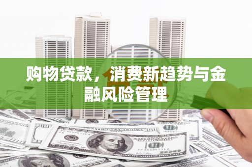 镇康购物贷款，消费新趋势与金融风险管理