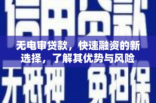 镇康无电审贷款，快速融资的新选择，了解其优势与风险