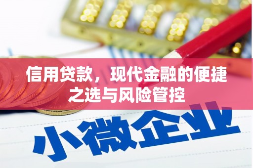 镇康信用贷款，现代金融的便捷之选与风险管控