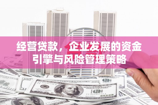 镇康经营贷款，企业发展的资金引擎与风险管理策略