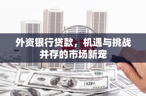 镇康外资银行贷款，机遇与挑战并存的市场新宠