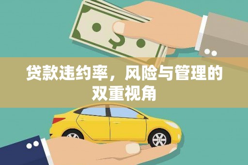 镇康贷款违约率，风险与管理的双重视角