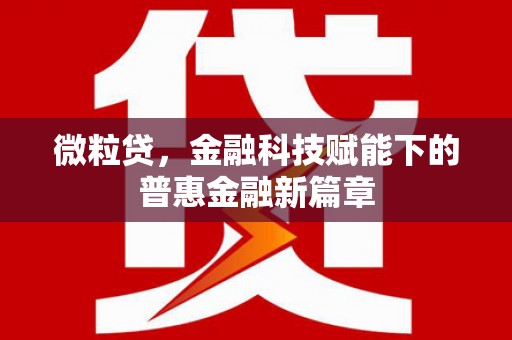 镇康微粒贷，金融科技赋能下的普惠金融新篇章