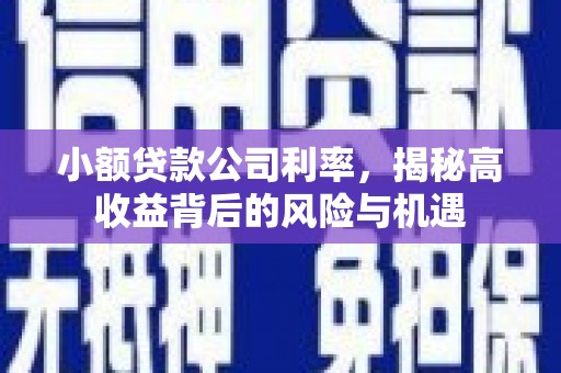 镇康小额贷款公司利率，揭秘高收益背后的风险与机遇