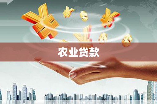 镇康农业贷款