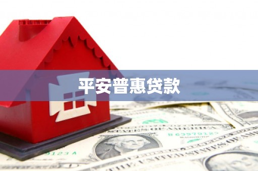 镇康平安普惠贷款