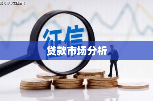 镇康贷款市场分析