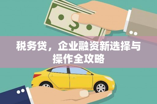 镇康税务贷，企业融资新选择与操作全攻略
