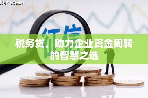 镇康税务贷，助力企业资金周转的智慧之选
