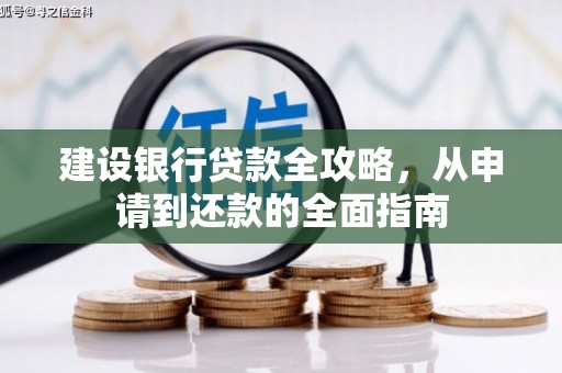 镇康建设银行贷款全攻略，从申请到还款的全面指南