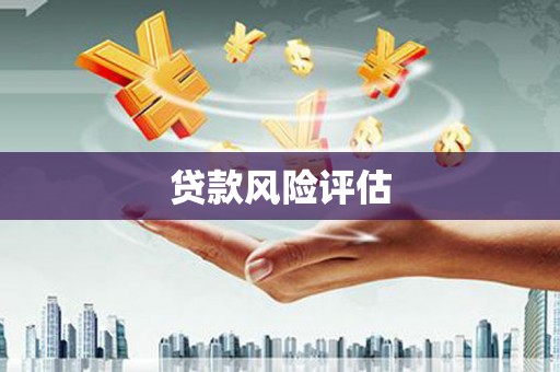 镇康贷款风险评估