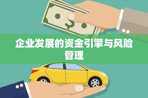 镇康企业发展的资金引擎与风险管理