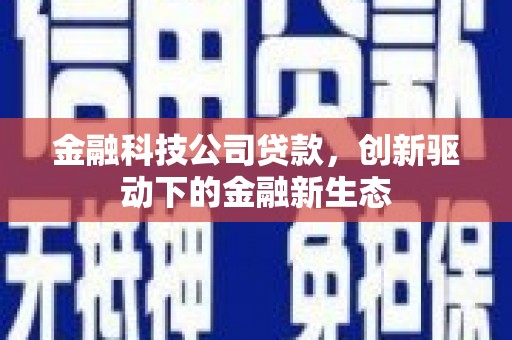 镇康金融科技公司贷款，创新驱动下的金融新生态