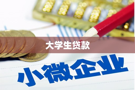 镇康大学生贷款