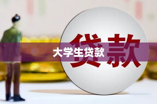 镇康大学生贷款