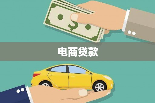 镇康电商贷款