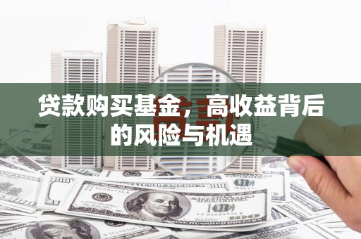 镇康贷款购买基金，高收益背后的风险与机遇