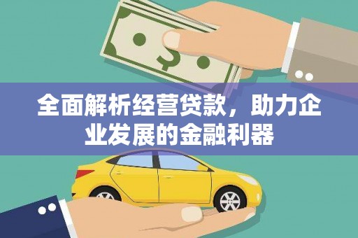 镇康全面解析经营贷款，助力企业发展的金融利器