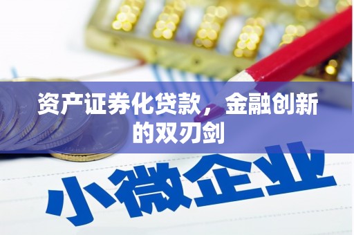 镇康资产证券化贷款，金融创新的双刃剑