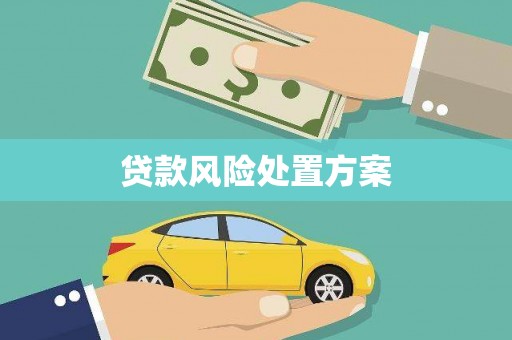 镇康贷款风险处置方案