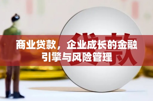 镇康商业贷款，企业成长的金融引擎与风险管理