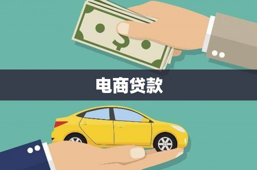 镇康电商贷款