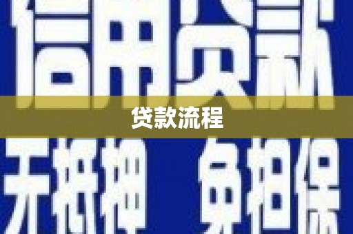 镇康贷款流程