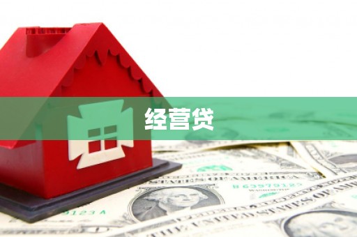 镇康经营贷