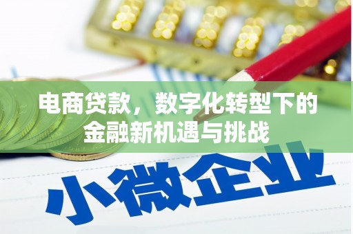 镇康电商贷款，数字化转型下的金融新机遇与挑战