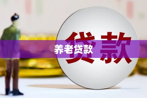 镇康养老贷款