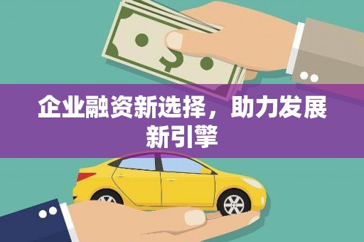 镇康企业融资新选择，助力发展新引擎
