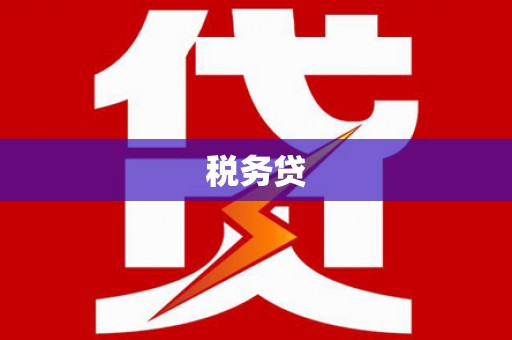 镇康税务贷