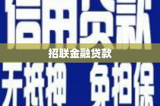 镇康招联金融贷款