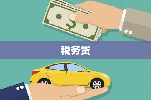 镇康税务贷