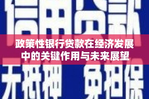 镇康政策性银行贷款在经济发展中的关键作用与未来展望