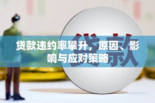镇康贷款违约率攀升，原因、影响与应对策略