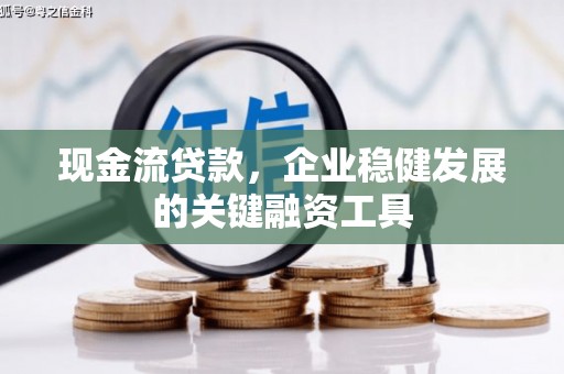 镇康现金流贷款，企业稳健发展的关键融资工具