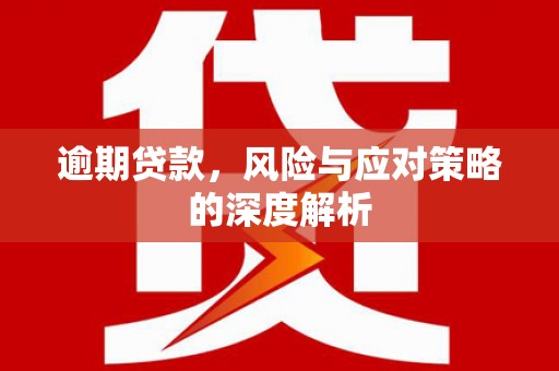 镇康逾期贷款，风险与应对策略的深度解析