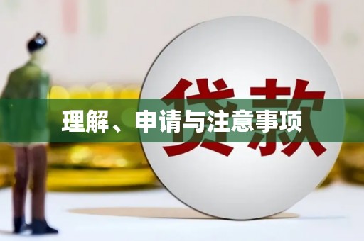 镇康理解、申请与注意事项