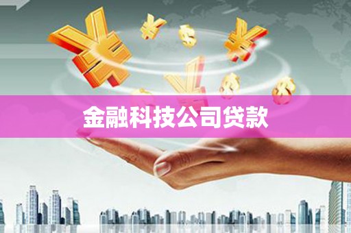 镇康金融科技公司贷款