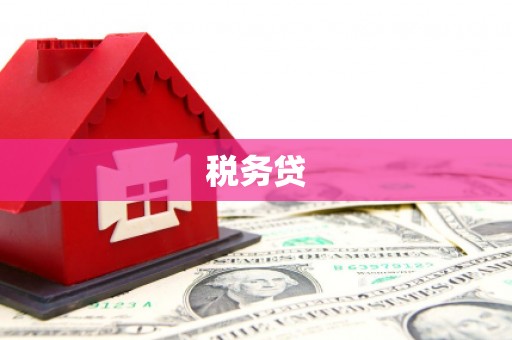 镇康税务贷