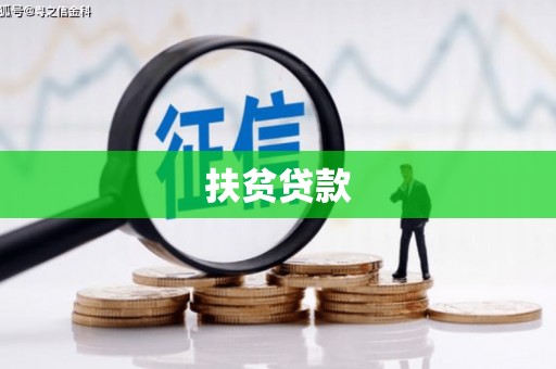 镇康扶贫贷款