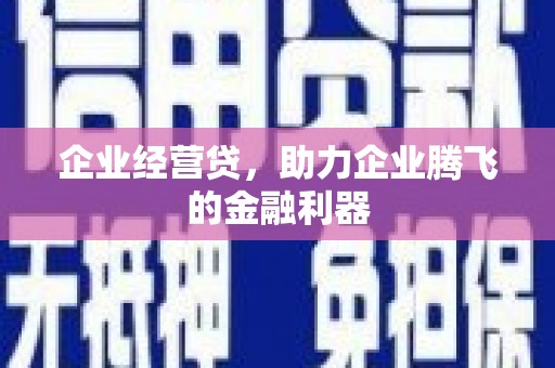 镇康企业经营贷，助力企业腾飞的金融利器