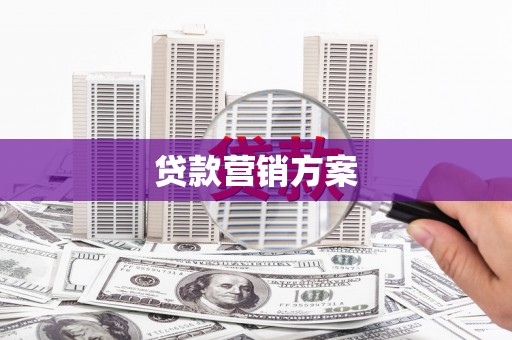 镇康贷款营销方案