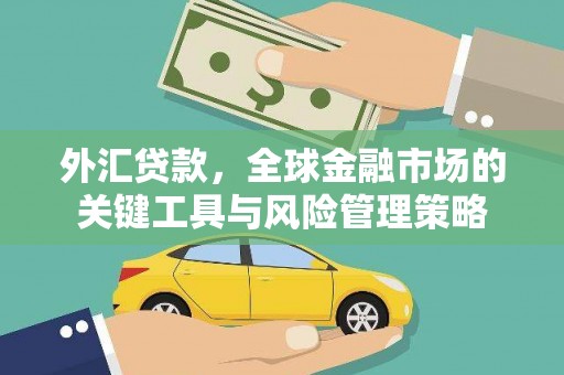 镇康外汇贷款，全球金融市场的关键工具与风险管理策略