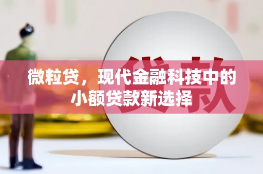 镇康微粒贷，现代金融科技中的小额贷款新选择