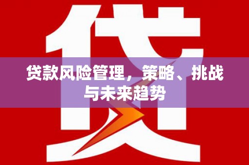 镇康贷款风险管理，策略、挑战与未来趋势