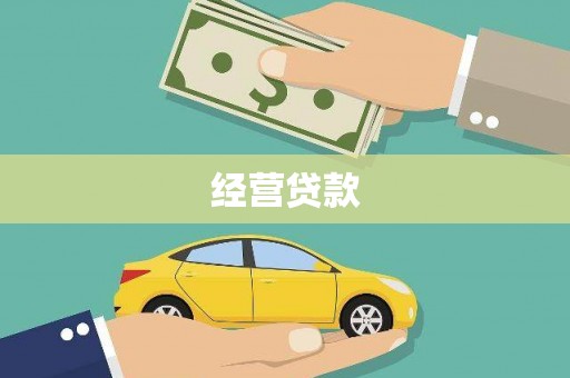 镇康经营贷款